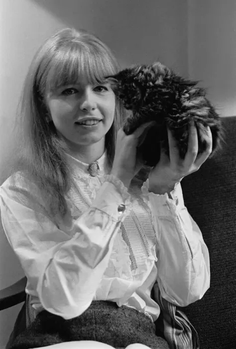 Framed Print : Actress Jane Asher holding a kitten 1965