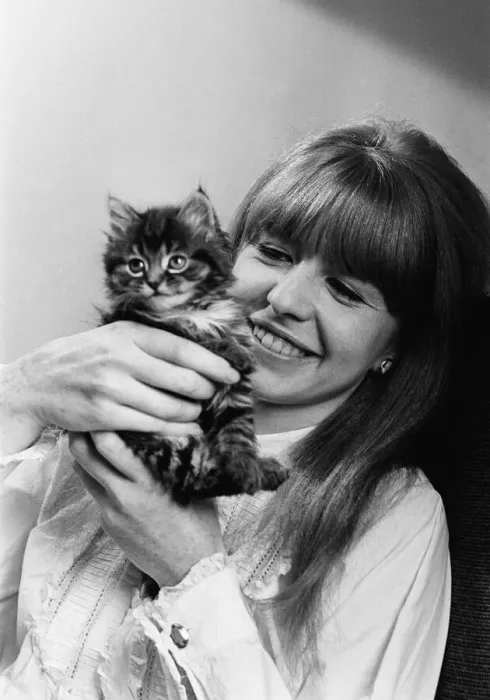 Framed Print : Actress Jane Asher holding a kitten 1965 Framed Print : Actress Jane Asher holding a kitten 1965