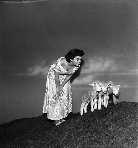 Actress Jean Simmons with Lambs. October 1948 O15147-003