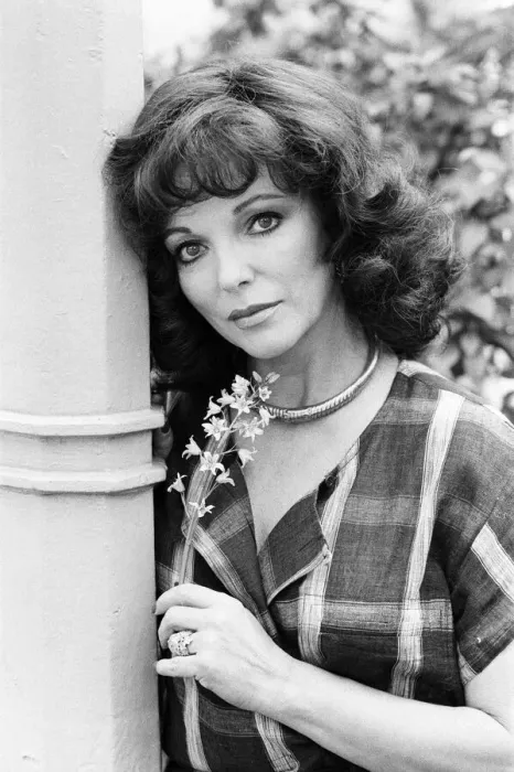 Framed Print : Actress Joan Collins. 6th May 1983 Framed Print : Actress Joan Collins. 6th May 1983