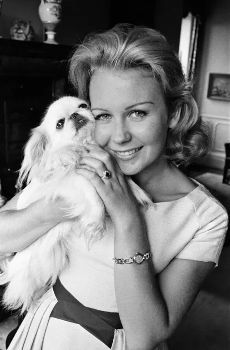 Framed Print : Actress Juliet Mills wearing her engagement ring. 10th August 1961 Framed Print : Actress Juliet Mills wearing her engagement ring. 10th August 1961