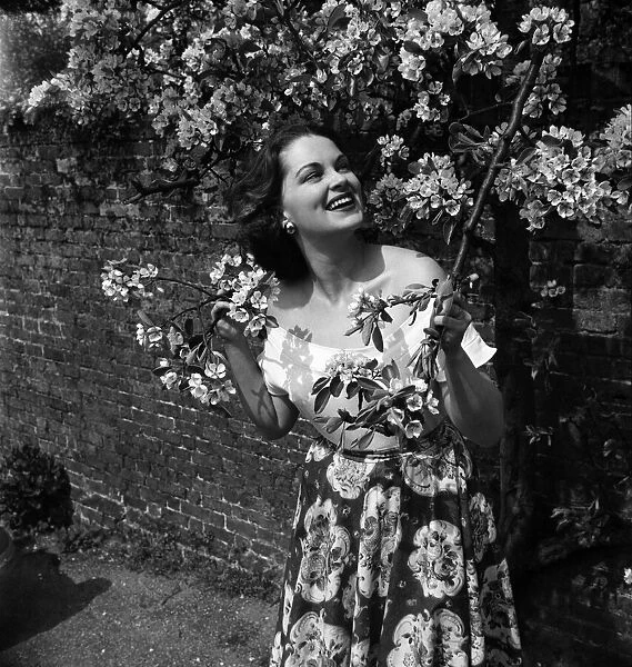 Actress Lisa Daniely seen here amongst the blossom at Shepperton film studios
