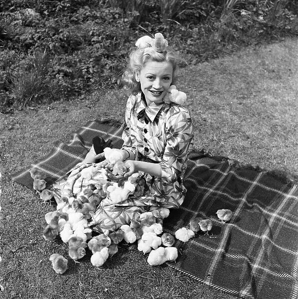 Actress Pat Dainton with Easter Chicks. April 1950 O23473-003