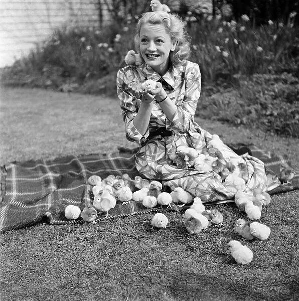 Actress Pat Dainton with Easter Chicks. April 1950 O23473-002