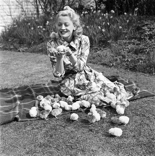 Actress Pat Dainton with Easter Chicks. April 1950 O23473