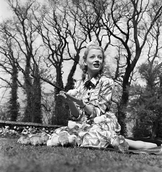 Actress Pat Dainton with Easter Chicks. April 1950 O23473-004