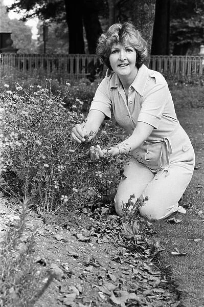 Actress Penelope Keith doing some gardening. 25th September 1985