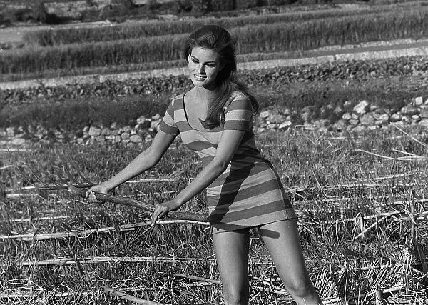 Actress Raquel Welch on location for film shoot 1966 Wearing striped mini dress