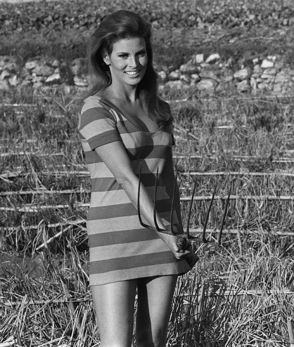 Framed Print : Actress Raquel Welch on location for film shoot 1966 Wearing striped mini dress Framed Print : Actress Raquel Welch on location for film shoot 1966 Wearing striped mini dress