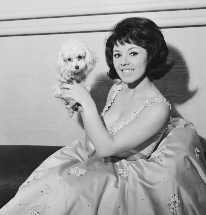 Framed Print : Actress and singer Susan Maughan in happy mood after she was chosen to appear in Framed Print : Actress and singer Susan Maughan in happy mood after she was chosen to appear in