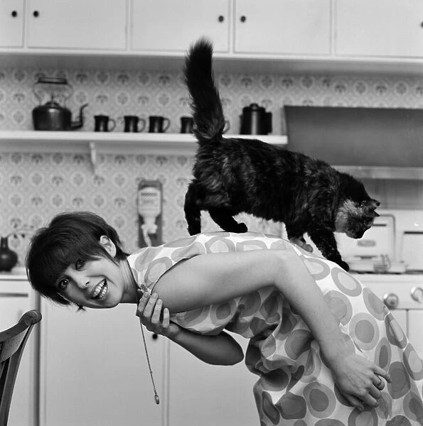 Actress Una Stubbs pictured at her Radlett home with her cat called 'Corrigan'