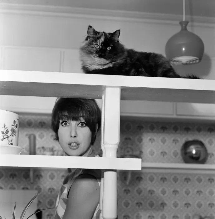 Framed Print : Actress Una Stubbs pictured at her Radlett home with her cat called Corrigan Framed Print : Actress Una Stubbs pictured at her Radlett home with her cat called Corrigan