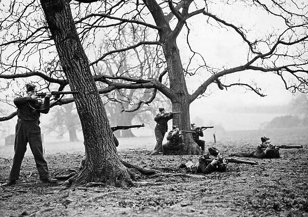 Age old trees provide natural cover for marksmen taking part in field exercises at a