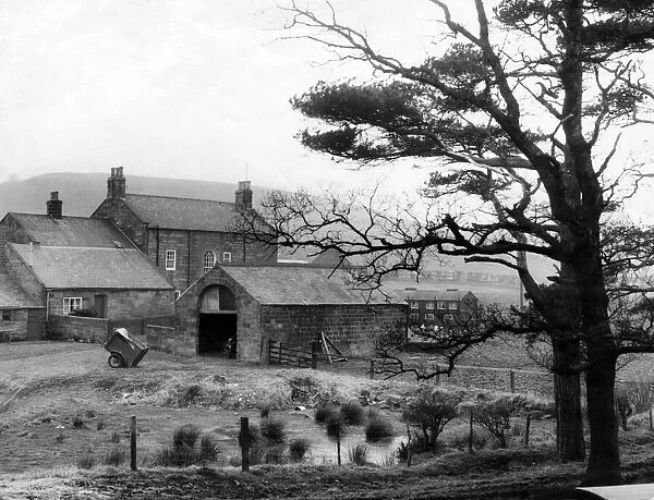 Airy Holme farm and Roseberry Topping in Great Ayton. Circa 1960s