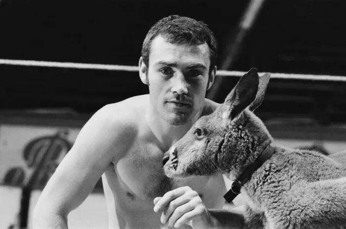 Framed Print : Alan Minter (born 17 August 1951) is a British former professional boxer who competed Framed Print : Alan Minter (born 17 August 1951) is a British former professional boxer who competed