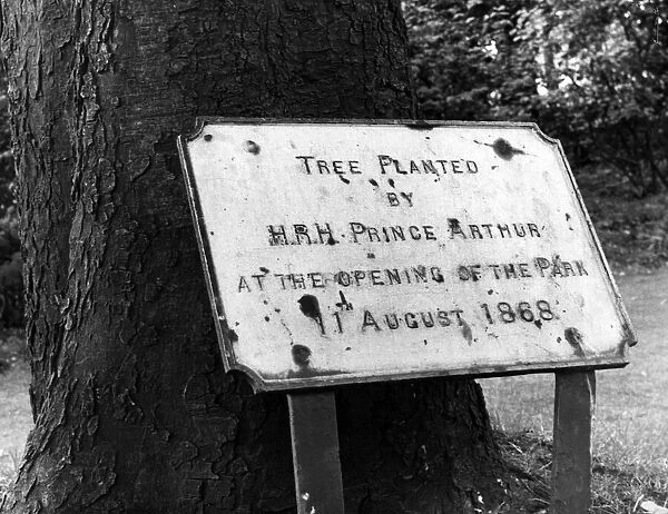 Albert Park, Middlesbrough, 9th August 1968. Tree planted by HRH Prince Arthur at