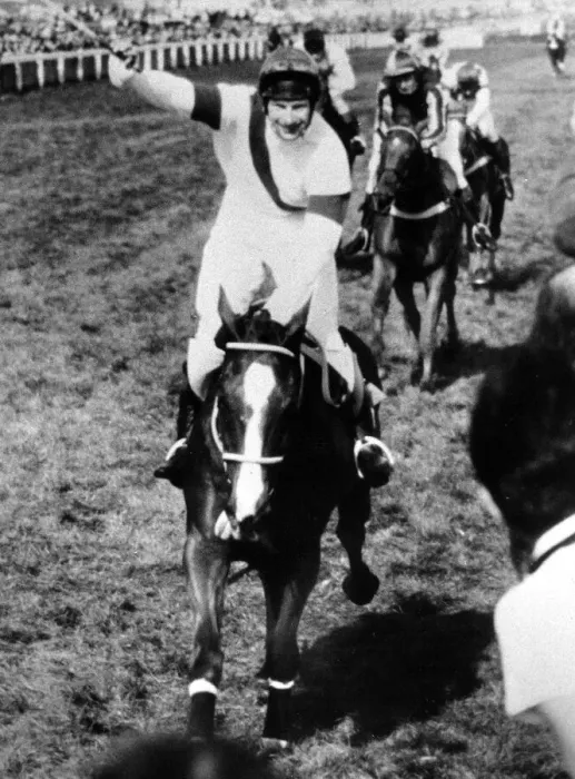 Framed Print : Aldaniti with Bob Champion win at Aintree 1981 Grand National Winner 1981 Framed Print : Aldaniti with Bob Champion win at Aintree 1981 Grand National Winner 1981
