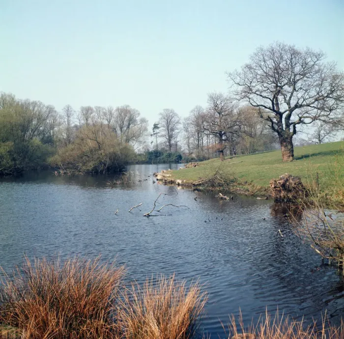 Framed Print : Alderley Edge, Cheshire. April 1974 Framed Print : Alderley Edge, Cheshire. April 1974