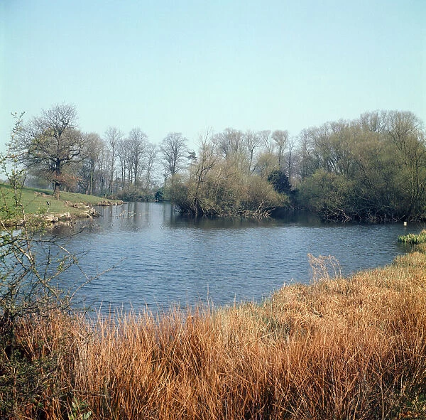Alderley Edge, Cheshire. April 1974