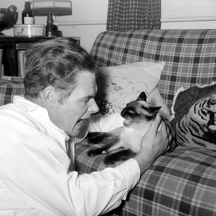 Framed Print : Alex Kerr with his Siamese cat December 1957 Framed Print : Alex Kerr with his Siamese cat December 1957