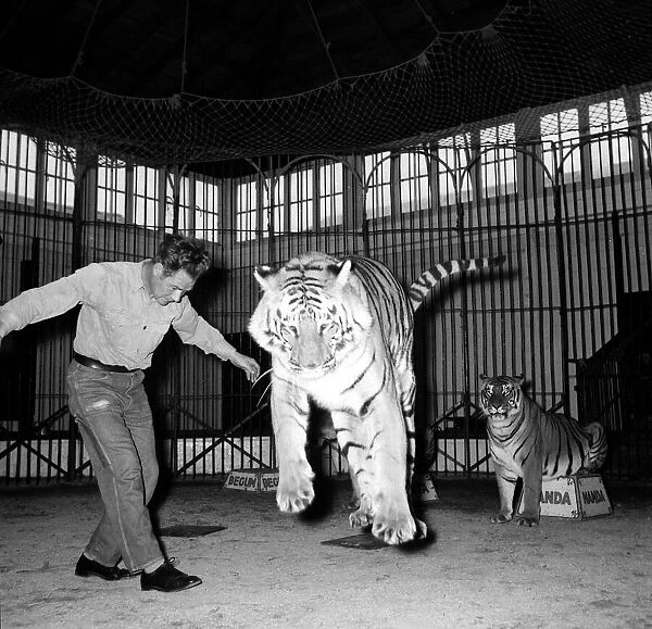Alex Kerr and tiger Khan December 1957