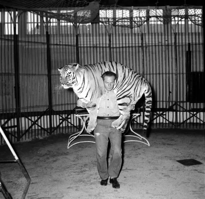Framed Print : Alex Kerr and tiger Khan December 1957