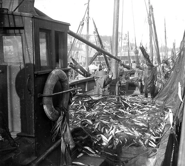 Alfieri Snr. Mackerel Fishing at Newlyn, Cornwall. Lowestoft Drifter empties its nets
