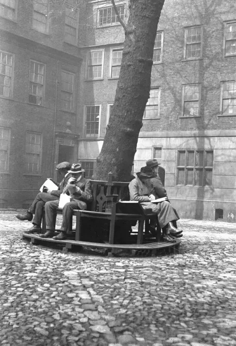 Framed Print : Alfieri Snr. Staple Inn, 1917. The seat was taken away a year later Framed Print : Alfieri Snr. Staple Inn, 1917. The seat was taken away a year later