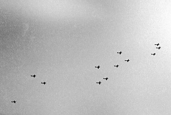Alfieri. Spitfires in formation. October 2nd 1940