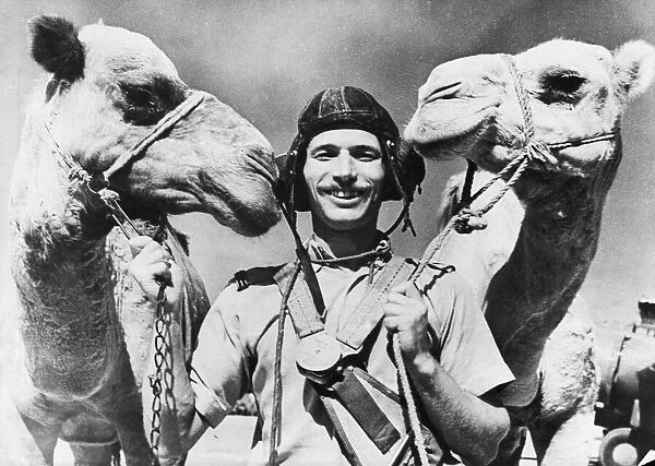Allied Air Forces with camels. 30th April 1943