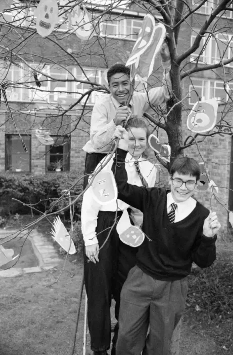 Framed Print : Almondbury High School pupils dress almond tree as part of GCSE art for National Tree Framed Print : Almondbury High School pupils dress almond tree as part of GCSE art for National Tree
