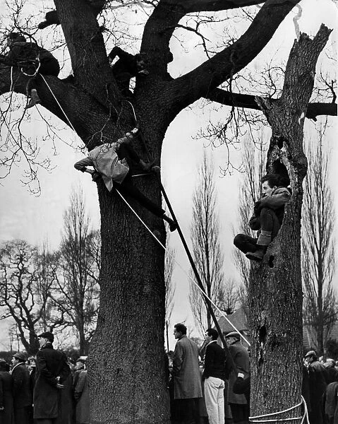 Alvechurch fans climb trees to get a view of their team in action against Enfield in