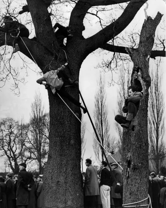 Framed Print : Alvechurch fans climb trees to get a view of their team in action against Enfield in