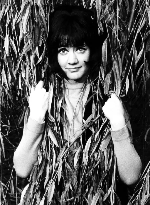 Framed Print : Amanda Barrie Actress Framed Print : Amanda Barrie Actress