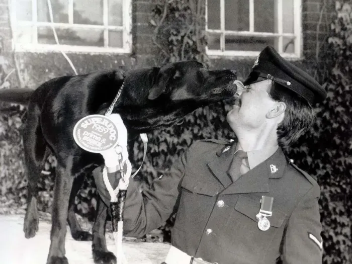 Framed Print : Ambrose a sniffer dog with the Arms and Explosives search unit in Londonderry