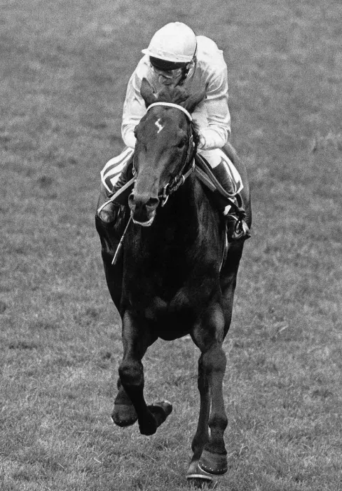 Framed Print : American jockey Steve Cauthen in action to win the Epsom Derby on Slip Anchor Framed Print : American jockey Steve Cauthen in action to win the Epsom Derby on Slip Anchor