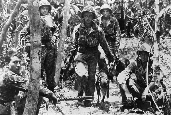 American marines and their jungles rained war dogs move past a light machine gun nest as