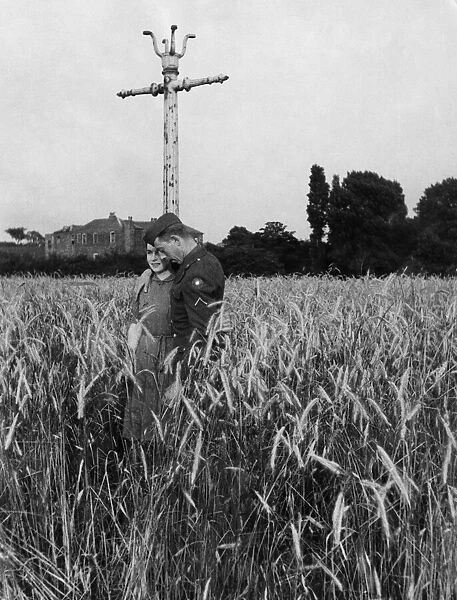 An American soldier and his girlfriend take a stroll through a field of barley near