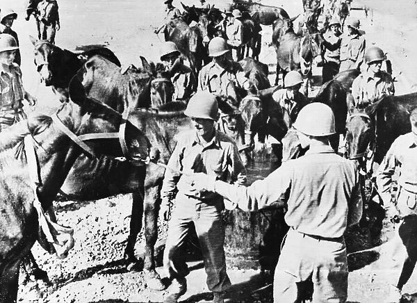 American soldiers with water mules at Palermo. 25th September 1943