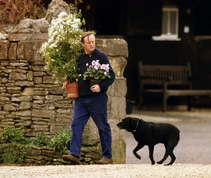 Framed Print : Andrew Parker Bowles In His Garden Dbase Framed Print : Andrew Parker Bowles In His Garden Dbase