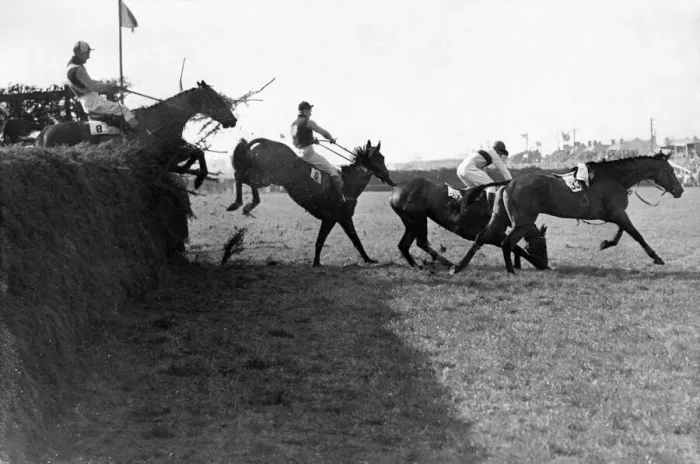Framed Print : Angel Hill'unseats the jockey at the Canal Turn on the second time round