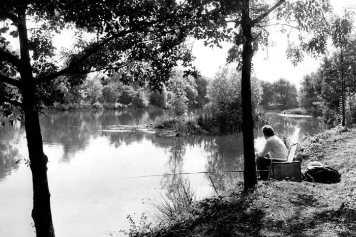 Framed Print : Angling. A fisherman sits patiently waiting for a bite at Kingsbury Water Park Framed Print : Angling. A fisherman sits patiently waiting for a bite at Kingsbury Water Park