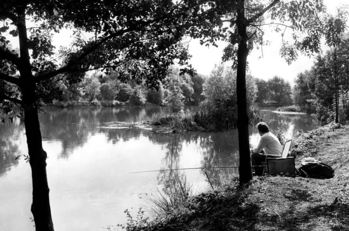 Framed Print : Angling. A fisherman sits patiently waiting for a bite at Kingsbury Water Park Framed Print : Angling. A fisherman sits patiently waiting for a bite at Kingsbury Water Park