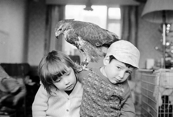 Animal  /  pet  /  unusual. Children with Buzzard. December 1970 71-00012-001