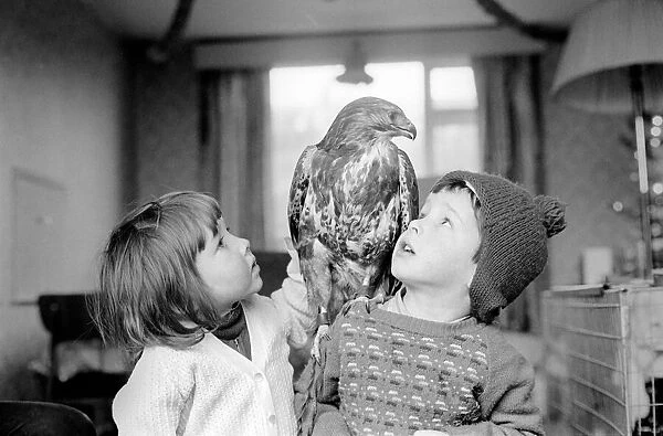 Animal  /  pet  /  unusual. Children with Buzzard. December 1970 71-00012-005