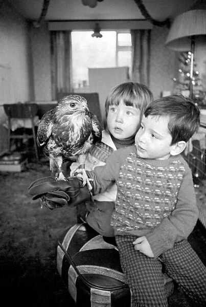 Animal  /  pet  /  unusual. Children with Buzzard. December 1970 71-00012-002