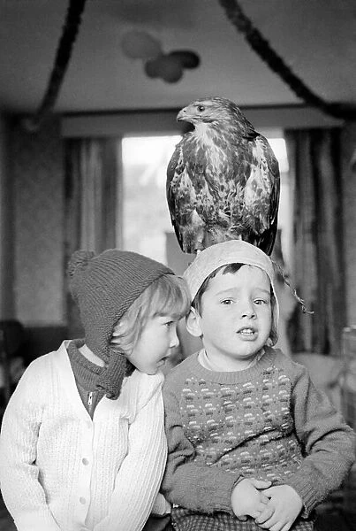Animal  /  pet  /  unusual. Children with Buzzard. December 1970 71-00012-004