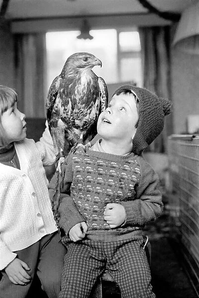 Animal  /  pet  /  unusual. Children with Buzzard. December 1970 71-00012-003