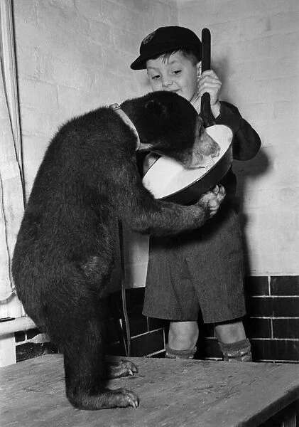 Animals - Bears. April 1948 P000397