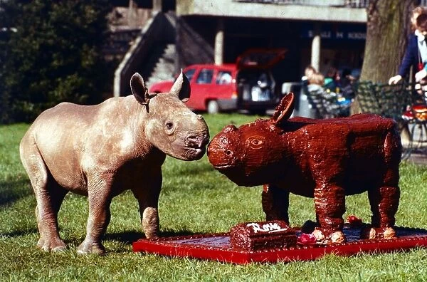 Animals - Black African Rhino next to a life size replica of himself made out of